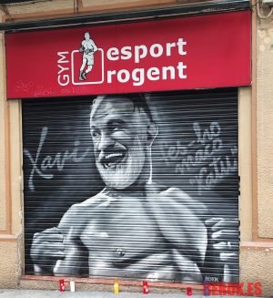 Graffiti Persiana Xavi Moya Esport Rogent Clot 300x100000